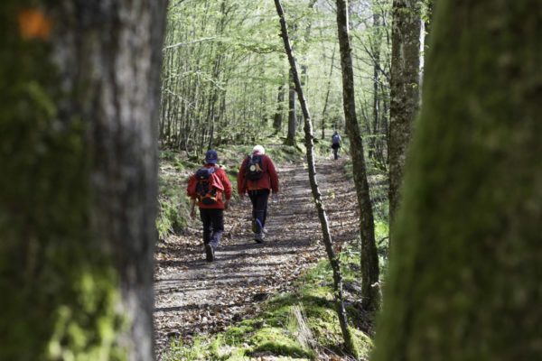 Spaziergänge und Wanderungen
